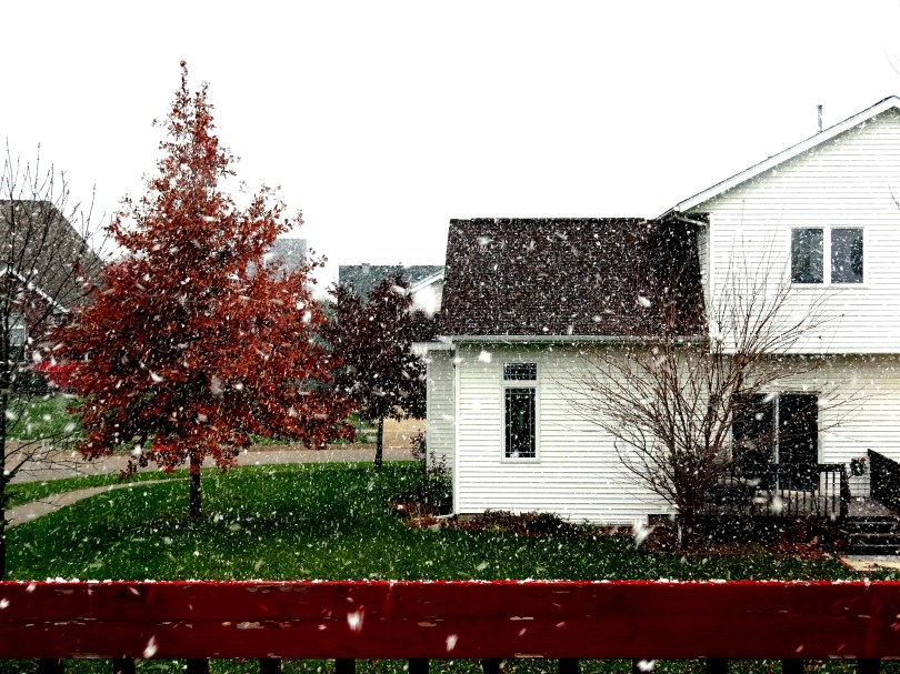 Snowfall