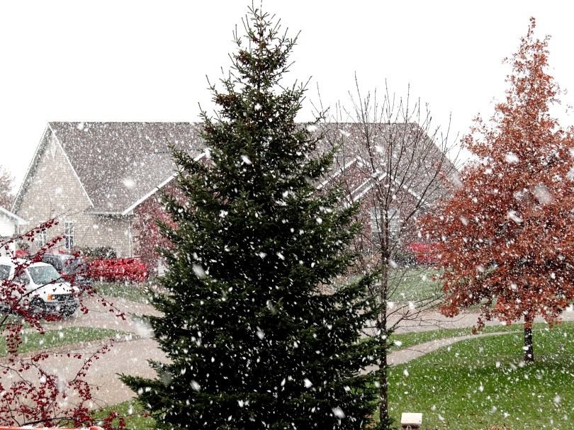 Snowfall