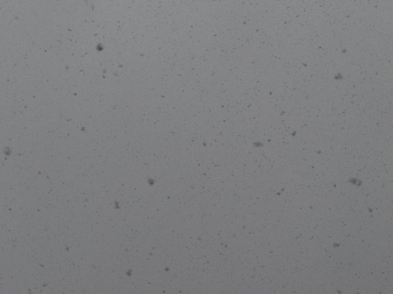 Snowfall