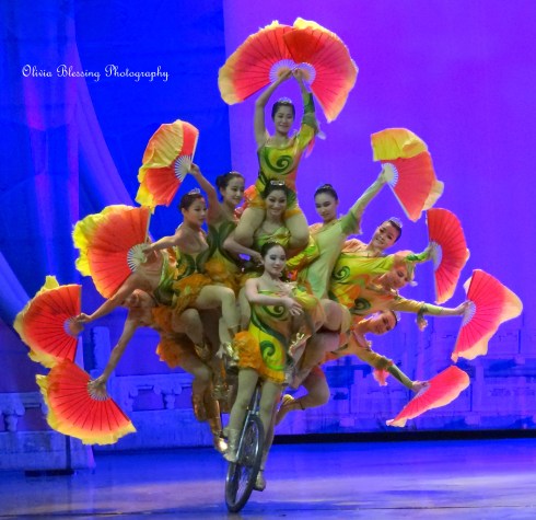 Bicycle Acrobats